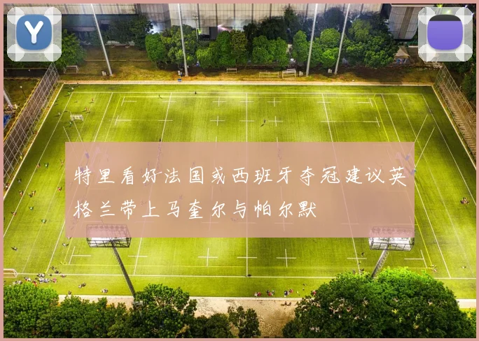 特里看好法国或西班牙夺冠建议英格兰带上马奎尔与帕尔默